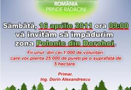 România prinde rădăcini și în Dorohoi