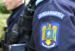 Material lemnos confiscat de jandarmii botoșaneni