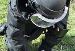 Grenadă în perfectă stare de funcționare descoperită la Hudeşti