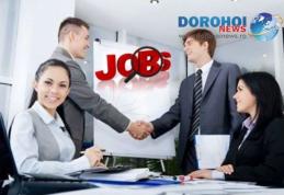 Peste 750 locuri de muncă vacante în Spaţiul Economic European