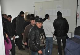 105 persoane angajate astazi pe loc la Botosani