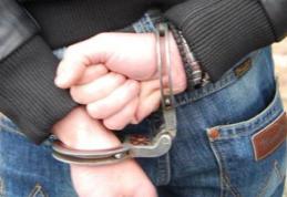 Tânăr din Suharău reținut pentru şase infracțiuni de furt calificat