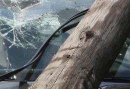 Un stâlp metalic din Dumbrăvița a stat în calea unui șofer turmentat