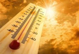 Sfaturi oferite de  pompieri pentru zilele de caniculă