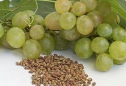 Strugurii, dușmanii celulelor canceroase