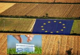 G.A.L. Codrii Herței - Măsura 322 - Renovarea, dezvoltarea și îmbunătățirea serviciilor pentru populația rurală