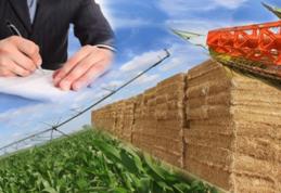 GAL Codrii Herței – Comunele Dersca, Șendriceni și Lozna au depus pe măsura 322 proiecte pentru modernizarea infrastructurii socio-culturale