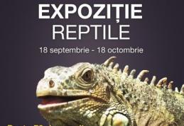 Expoziție de reptile vii la Uvertura Mall