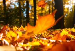 Prima temperatură negativă a toamnei, în România. Diferenţă de 34 de grade faţă de săptămâna trecută