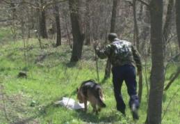 Alertă maximă după ce o copilă de doi ani şi jumătate din comuna Lozna a dispărut în pădure