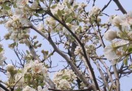 Primăvara începe să-şi intre în drepturi