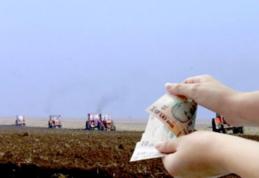 G.A.L. Codrii Herței – Tânără din Ibănești beneficiară a proiectului „Instalarea tinerilor fermieri”