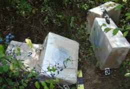 Contrabandişti de ţigări prinşi de poliţiştii de frontieră cu coletele în spate - FOTO