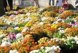 Sancţiuni în valoare totală de 30.000 lei aplicate comercianților de flori din Botoșani