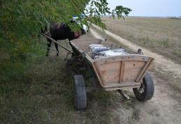 Ţigarete de contrabandă trecute cu lanseta peste râul Prut - FOTO