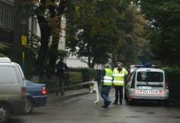 Trei mașini avariate de un șofer neatent! O familie întreagă a ajuns la spital!