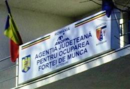 Peste 300 de persoane din Dorohoi, aflate în căutarea unui loc de muncă sunt înregistrate în evidenţele AJOFM Botoșani