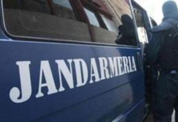 Bărbat sancționat de jandarmii botoșăneni pentru furt de produse agricole