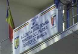 Peste 500 de locuri de muncă vacante în această săptămână, în judeţul Botoşani