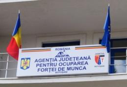 AJOFM Botoșani anunță finalizarea proiectului: „Imbunătățirea competențelor personalului propriu SPO din Regiunile Sud Muntenia, NE si  SE IC SPO”!