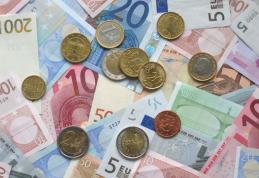 Moneda euro ar putea fi adoptată la 1 ianuarie 2015, dar va circula în paralel cu leul până în decembrie