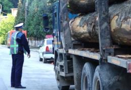 Ghinion pentru un botoșănean! S-a ales cu amendă și materialul lemnos confiscat!