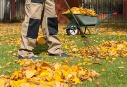 Primăria Municipiului Dorohoi atenționează: „Arderea frunzelor, un pericol pentru cei din jur”