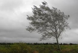 Cod galben de vânt puternic în judeţele Botoşani şi Iaşi