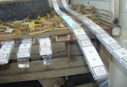 Imaginație strălucită! Țigări de contrabandă ascunse într-un loc special amenajat prin decuparea podelei autovehiculului - FOTO