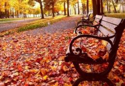 Prognoza meteo de weekend. Vremea se răceşte treptat. Apar ploi, ninsori şi ceaţă