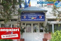 Anunț angajare pentru patru posturi la Liceul Tehnologic Special „Ion Pillat” Dorohoi. Află detalii!