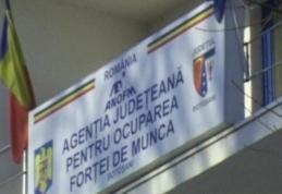 Nu ai un loc de muncă? AJOFM Botoșani oferă aproximativ 400 de locuri de muncă în Portugalia  