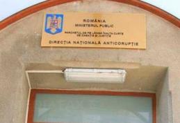 Agenţia de Plăţi | DNA a ridicat mai multe dosare pentru verificări 