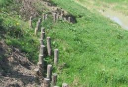 Dorohoiul poate fi inundat din nou : Pârâul Buhai nu a fost decolmatat 