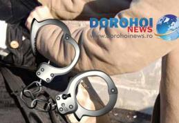 Hoaţă de buzunare prinsă de jandarmii botoşăneni