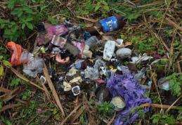 Primim la redacţie - „Legea bunului simţ”