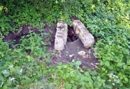 Primim la redacție - Dorohoi - Canalizare cu probleme (partea a III-a) - FOTO