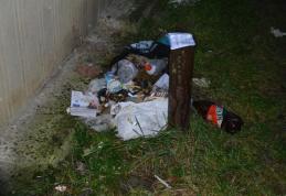 Primim la redacție: Unii cetățeni ai municipiului umbresc eforturile făcute de autoritățile locale - FOTO