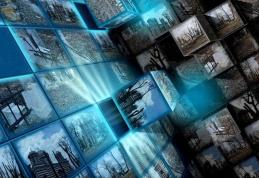 Primim la redacţie - Mutilarea naturii, o problemă care se repetă an de an la Dorohoi - FOTO