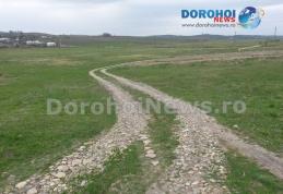 Primim la redacţie - Izolați din inconstiență ! „Se întâmplă în România” – FOTO