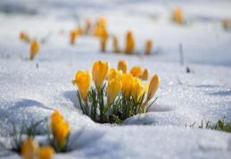 Prognoza meteo pentru februarie, martie şi aprilie. Când vine primăvara  