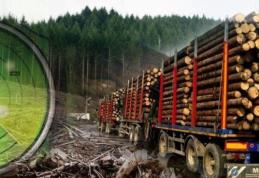 Se caută 600 de persoane pentru job la stat plătit cu 5.000 lei. Ce test trebuie să treacă viitorii angajaţi