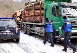 Peste 400 de sancţiuni contravenţionale, aplicate de Jandarmeria Română în luna ianuarie 2016