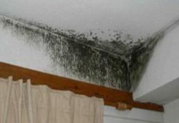 Cum înlăturaţi mucegaiul de pe pereţi. Reţeta bunicii