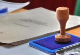 Proiectul privind alegerea primarilor în două tururi, retrimis la comisii