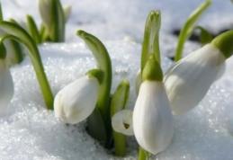 Prognoza meteo pe două săptămâni: Vreme de primăvară capricioasă, cu ploi şi lapoviţe şi chiar ninsori