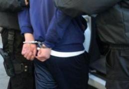 Cercetat de poliţiştii botoşăneni în stare de reţinere, pentru comiterea mai multor furturi 