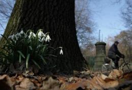Anunţ neaşteptat de la meteorologi. Vor fi temperaturi de 23 de grade