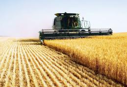 APIA încearcă săptămâna aceasta să plătească într-o singură tranșă subvenția la motorină pe trimestrele III și IV din 2015