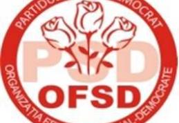 OFSD Botoșani | Concurs de desene cu tema „Oraşul meu”